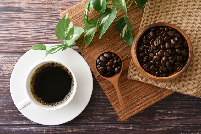 12月5日(金)社内行事に伴うサービス一時休止のご案内